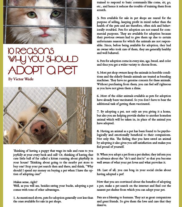 essay about adopting a dog