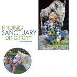 Finding Sanctuary on a Farm