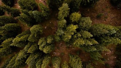 Saving Forests Drought Relief nathan-anderson-j1_s52QX6fs-unsplash