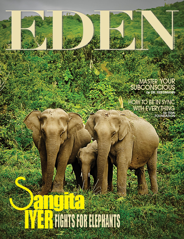 The Eden Magazine November 2023 Sangita Iyer cover