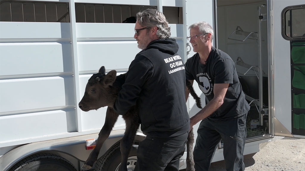 Gene Baur and Joaquin Phoenix Cow Rescue