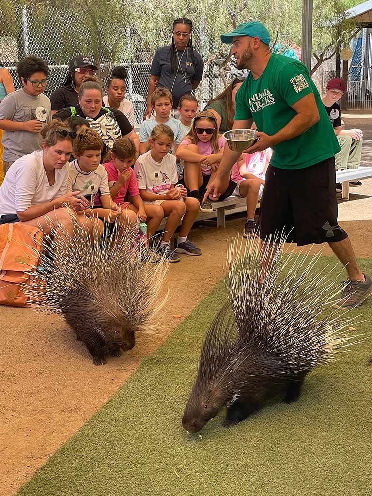 Animal Tracks Sanctuary