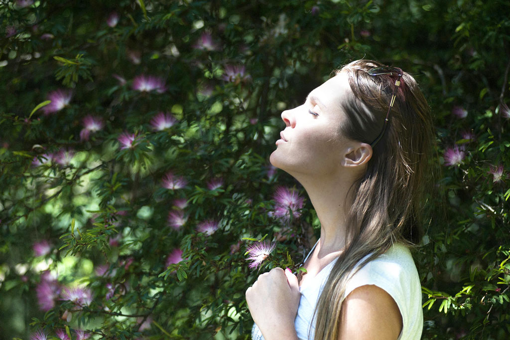 Yoga & the Pineal Gland