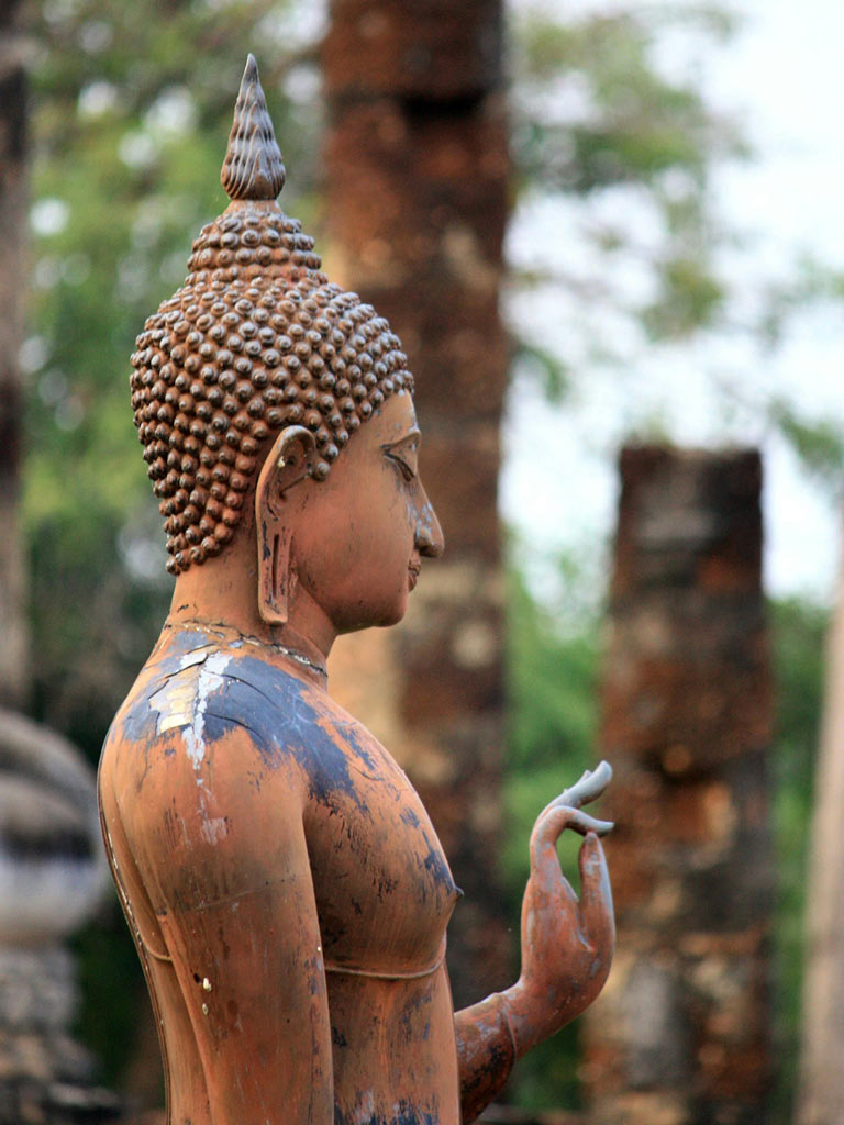 Yoga & the Pineal Gland