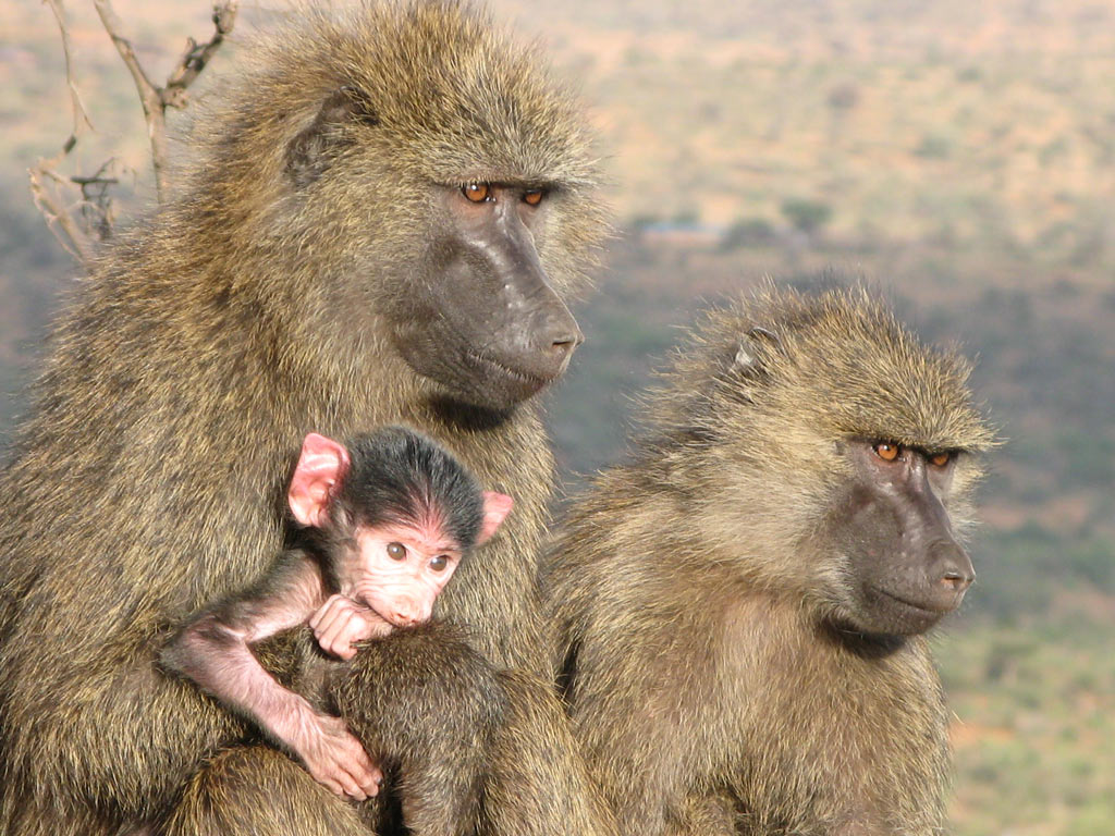 Holly and new baby Peader with older sib