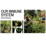 Our Immune System