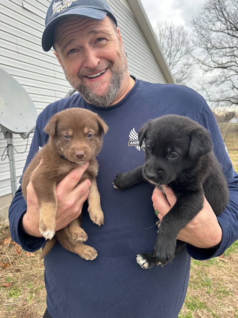 Tim Woodward with puppies