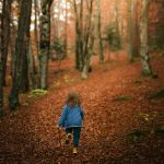 forest knowledge